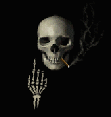 [Sicarius beckons you]